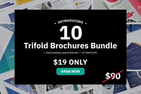 Corporate Trifold Brochures Bundle